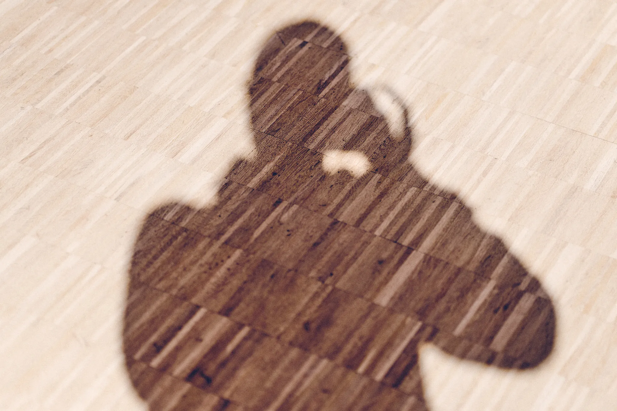 Ombre de Christophe Fassi en train de photographier sur un parquet, signature du Studio C. Fassi